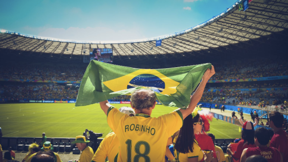 A Brazil fan in a yellow top waves a Brazil national flag at a football match